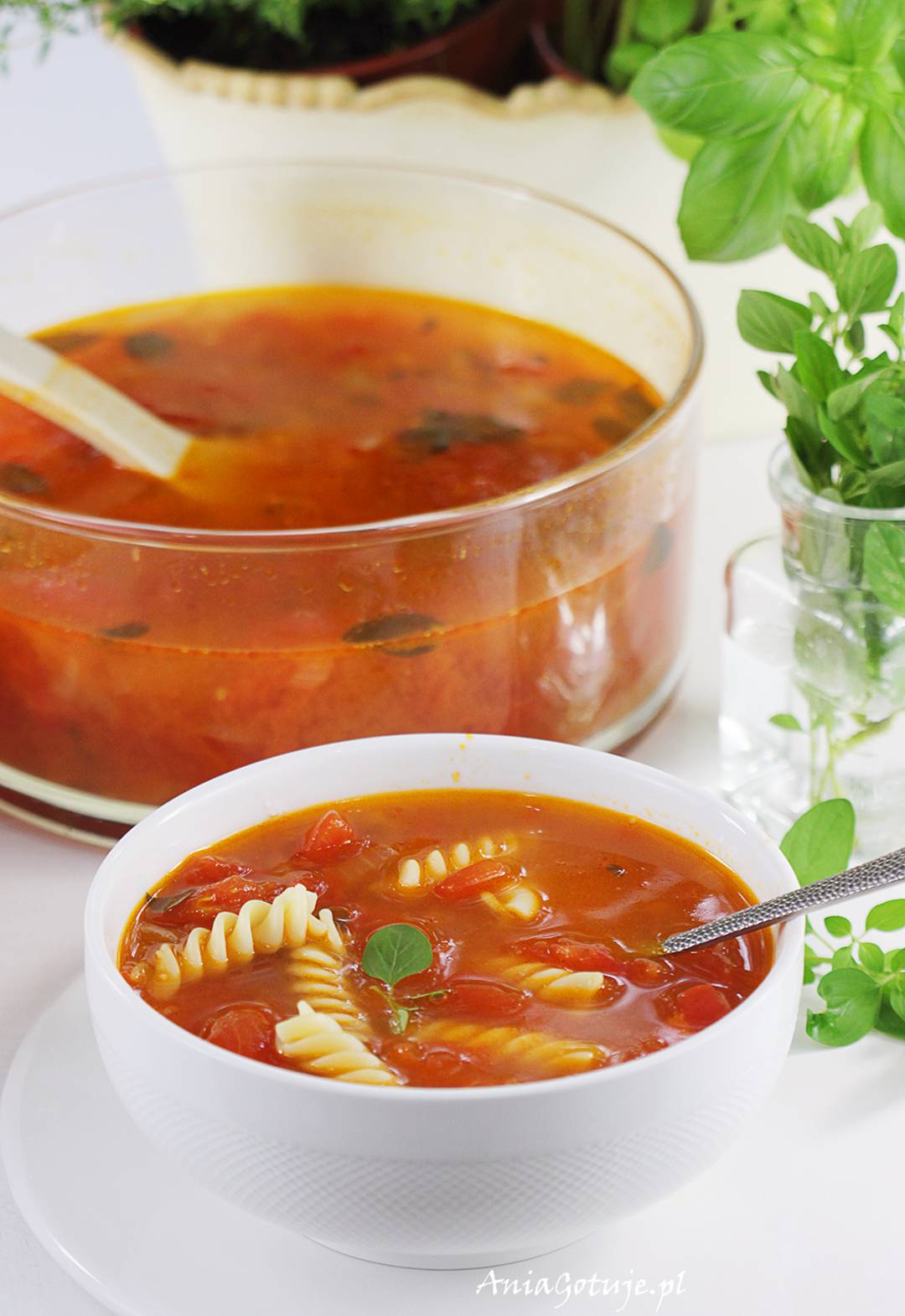 Zupa pomidorowa z pomidor&oacute;w, 1