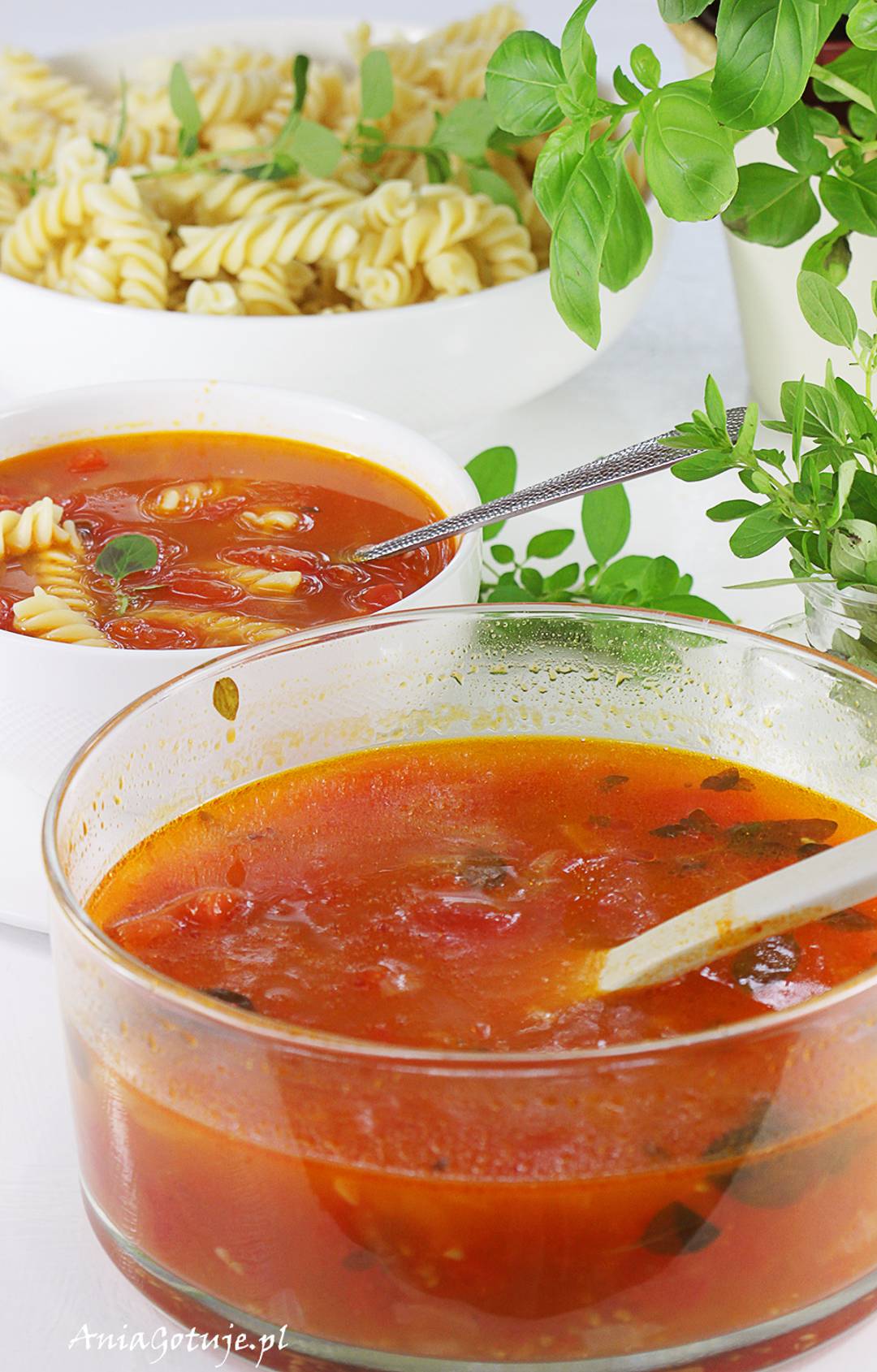 Zupa pomidorowa z pomidor&oacute;w, 8