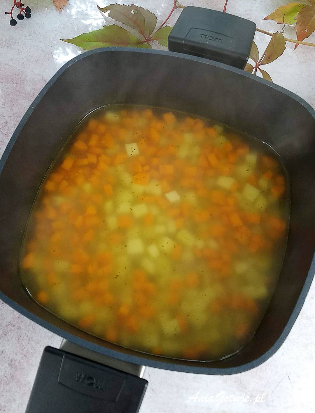Zupa grzybowa, 4