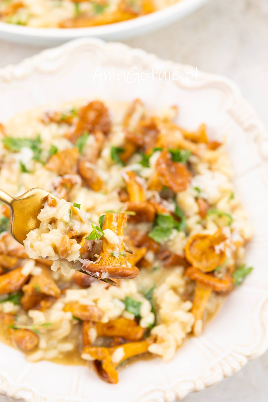 Gotowe, kremowe risotto z kurkami posypane świeżą natką pietruszki oraz tartym parmezanem. Na pierwszym planie złoty widelec unosi kęs potrawy z całą kurką i ziarnami ryżu arborio, ukazując aksamitną konsystencję dania.